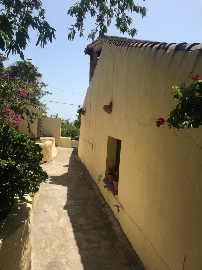グラナダ Casa Hectorヴィラ エクステリア 写真